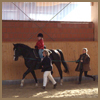 Hippotherapie